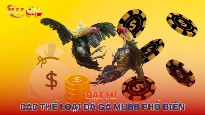 Các hình thức đá gà nổi bật tại SIN88: cựa dao, cựa sắt, gà tre