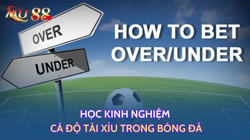 Mẹo chơi kèo tài xỉu SIN88 hiệu quả – Phân tích trận đấu, chọn cửa cược an toàn